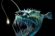 深海中的奇异生物：发光鱼类与凶悍外表的完美结合