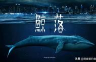 深海的奇迹：鲸落，一个能维持百年分解系统的神秘生物