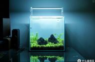 我的水族世界：从ADA DOOA 30新手套装开始