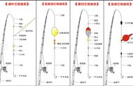 海钓钓法大全：图解各种钓组技巧