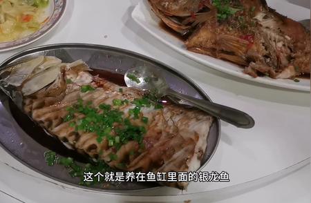 银龙鱼：从鱼缸到餐桌的美食之旅