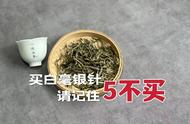 购买白毫银针需注意的五大要点，避免购买劣质银针