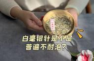 白毫银针：美观与耐泡性的探讨