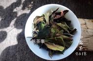 新手如何挑选白茶？散茶还是饼茶更合适？