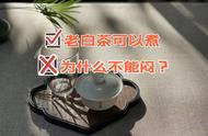 快速掌握煮茶与闷泡差异：5分钟让你变身老白茶品鉴专家