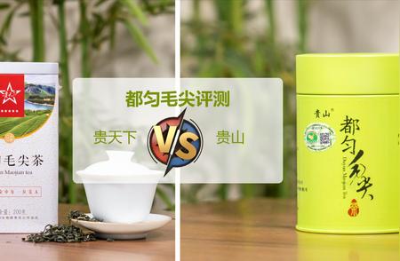 都匀毛尖品质大比拼：哪款口感最佳？